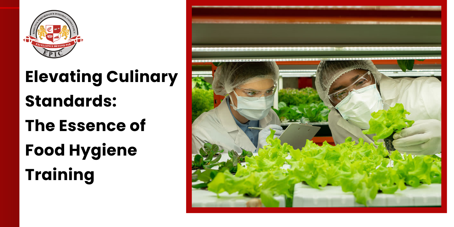 Elevating Culinary Standards - The Essence of Food Hygiene Training